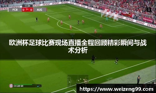 欧洲杯足球比赛现场直播全程回顾精彩瞬间与战术分析